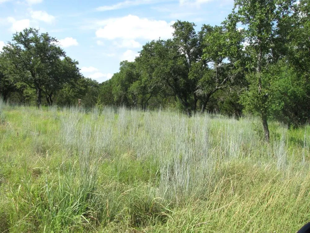 Pr 4212 Evant, TX 76525