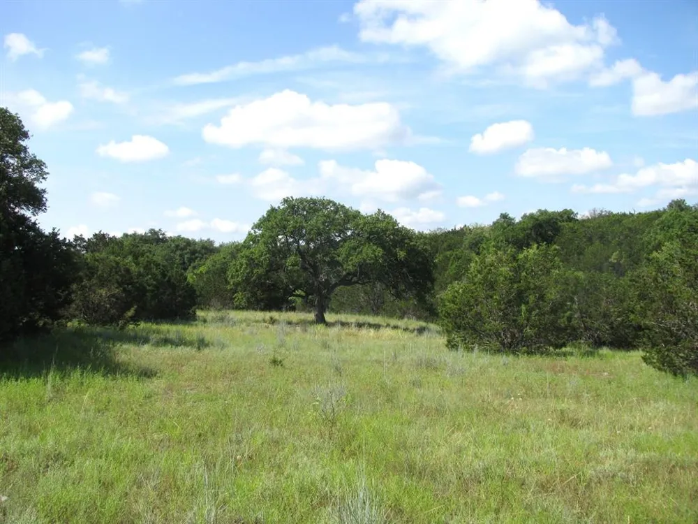 Pr 4212 Evant, TX 76525