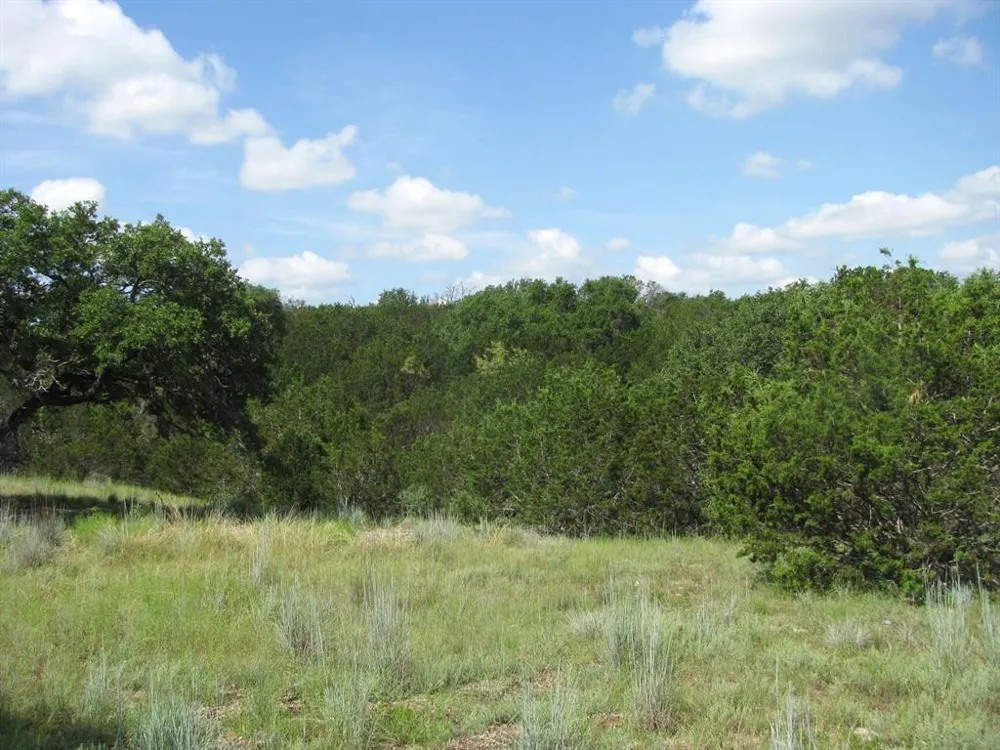 Pr 4212 Evant, TX 76525