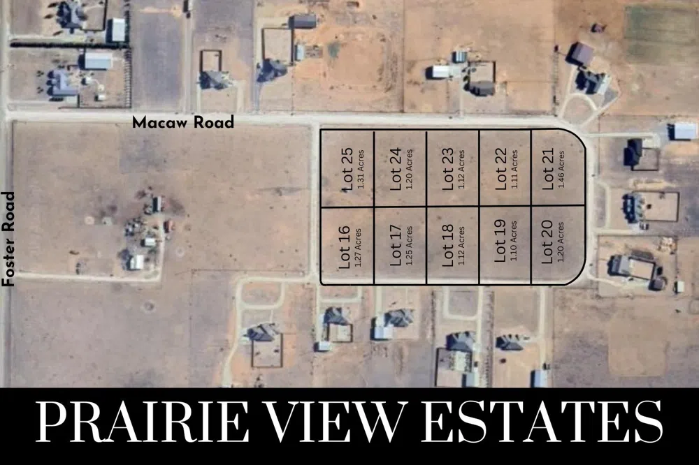 Macaw Road Ropesville, TX 79358