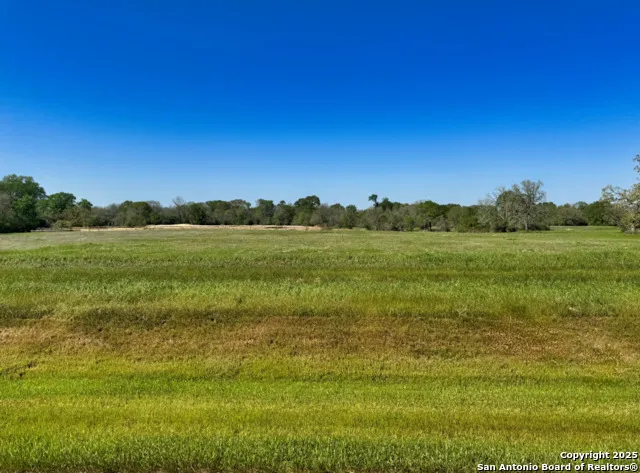 10078 Hidden Pond Drive Iola, TX 77861