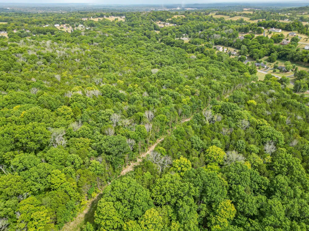 0 Cliff Amos Road N of TN Spring Hill, TN 37174