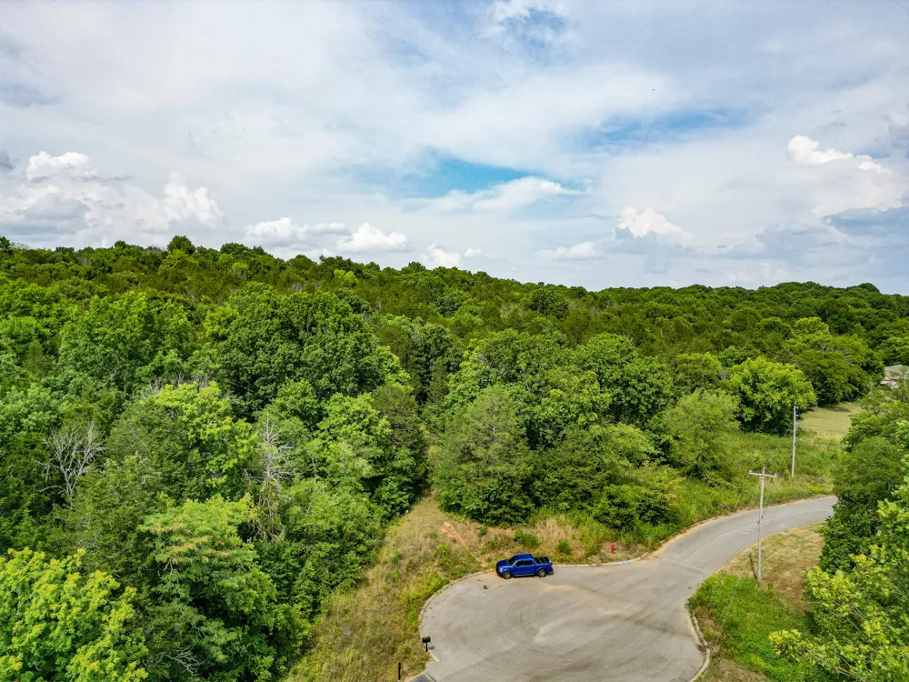 0 Cliff Amos Road N of TN Spring Hill, TN 37174