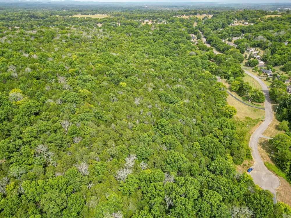 0 Cliff Amos Road N of TN Spring Hill, TN 37174