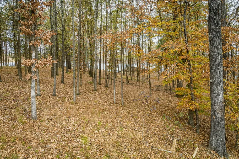 0 Shoreline Dr Huntingdon, TN 38344