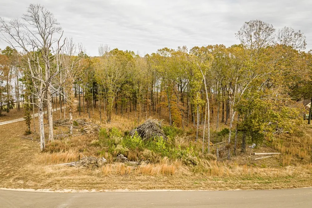 0 Shoreline Dr Huntingdon, TN 38344