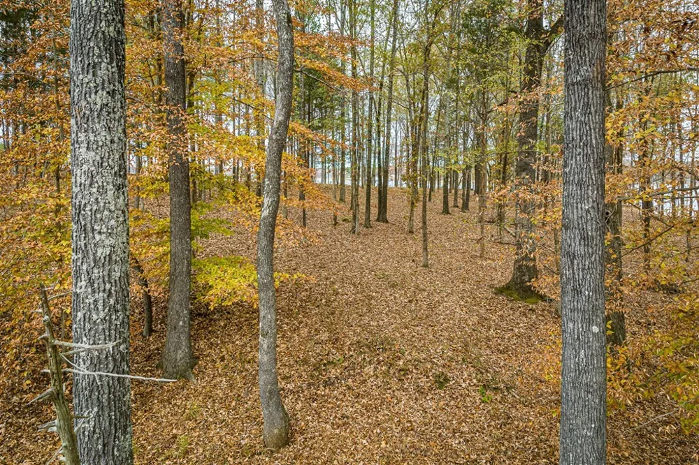 0 Shoreline Dr Huntingdon, TN 38344