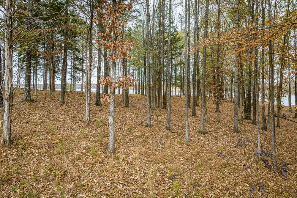 0 Shoreline Dr Huntingdon, TN 38344