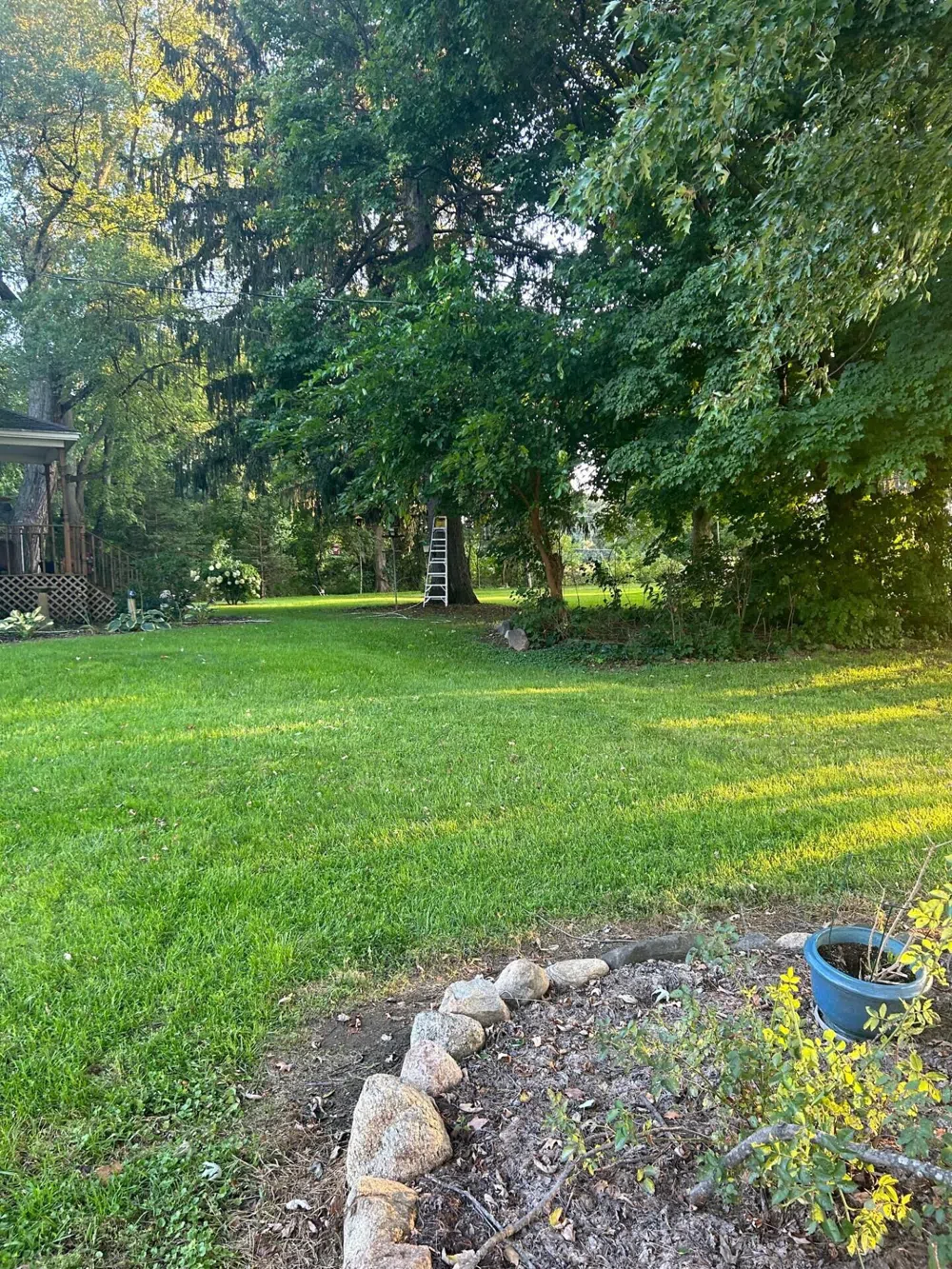 1894 State Road Ionia, MI 48846