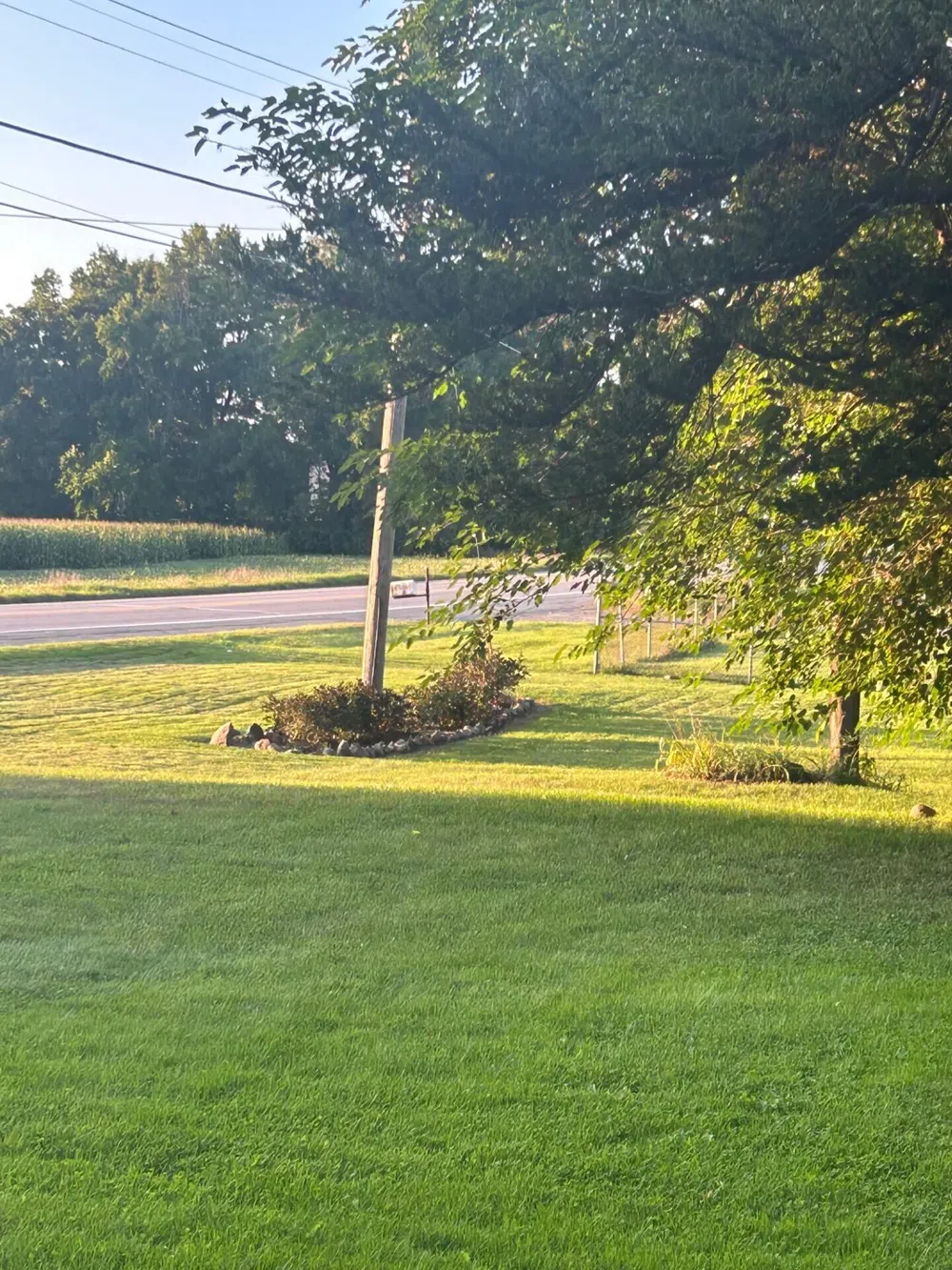 1894 State Road Ionia, MI 48846