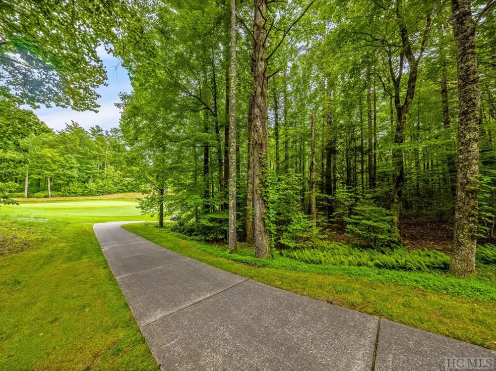 N 17 Mills Creek Trace Lake Toxaway, NC 28747