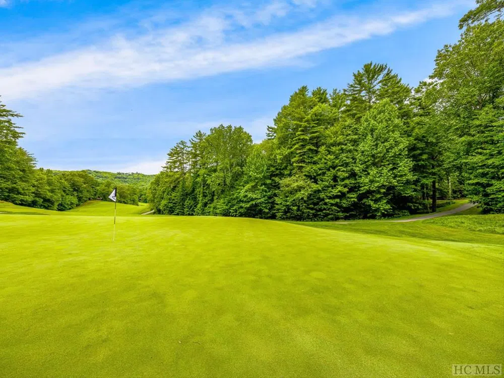N 17 Mills Creek Trace Lake Toxaway, NC 28747