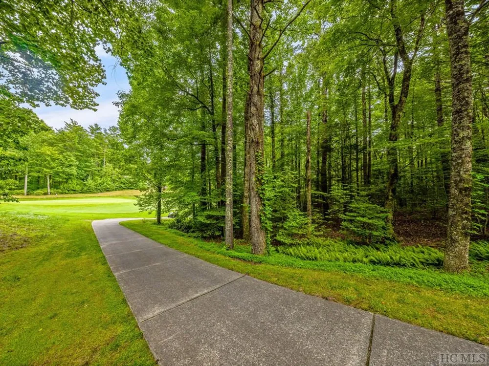N 17 Mills Creek Trace Lake Toxaway, NC 28747