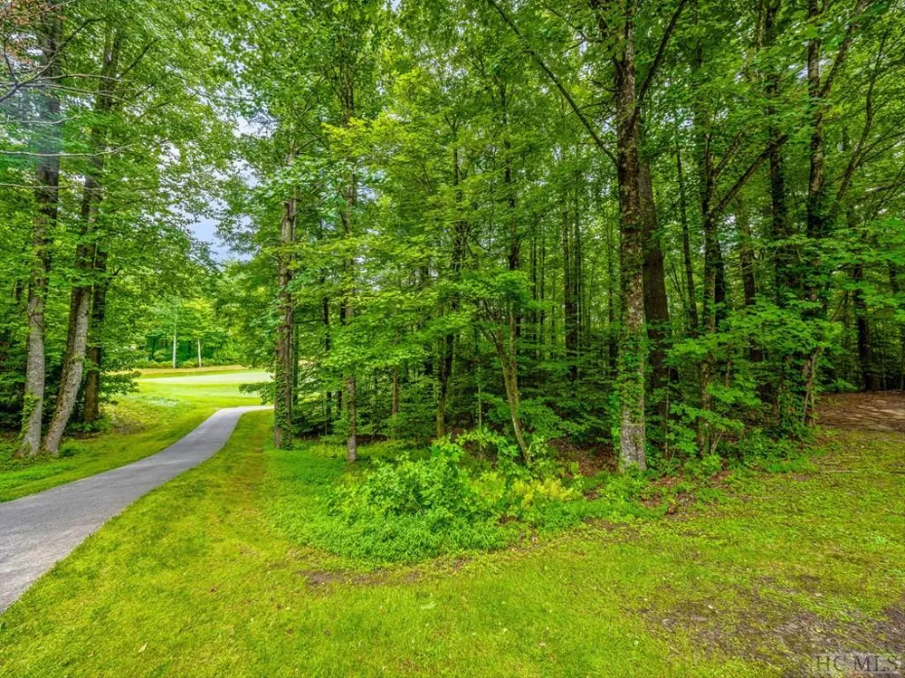 N 17 Mills Creek Trace Lake Toxaway, NC 28747