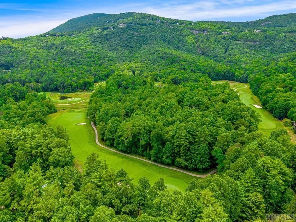 N 17 Mills Creek Trace Lake Toxaway, NC 28747