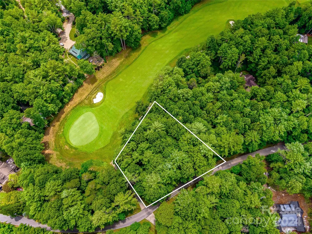 N 17 Mills Creek Trace Lake Toxaway, NC 28747