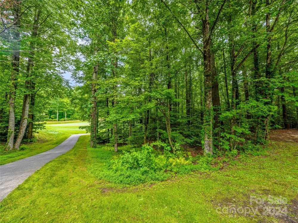 N 17 Mills Creek Trace Lake Toxaway, NC 28747