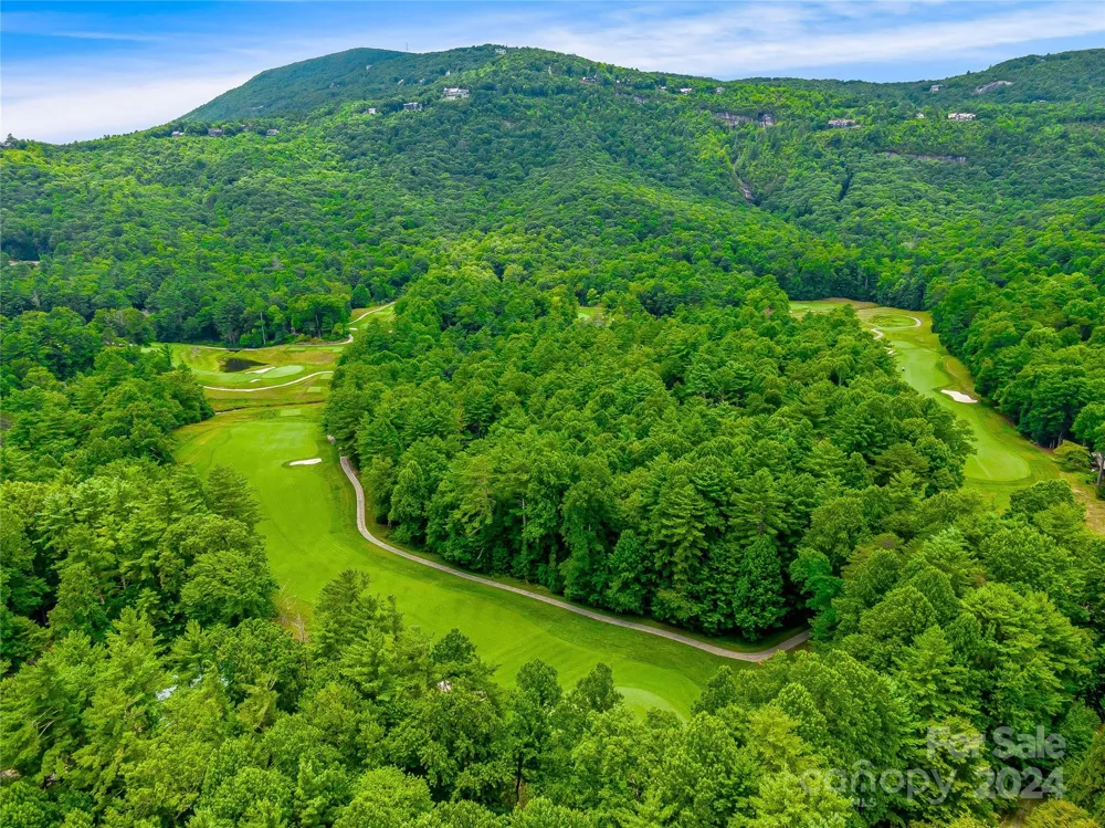 N 17 Mills Creek Trace Lake Toxaway, NC 28747