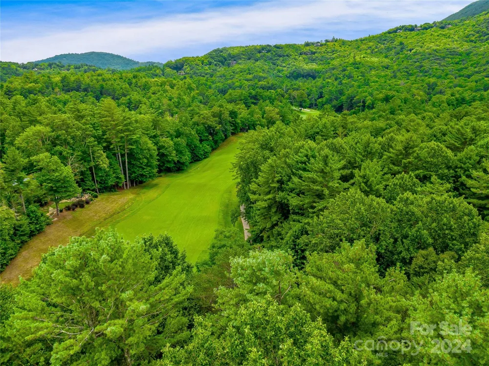 N 17 Mills Creek Trace Lake Toxaway, NC 28747