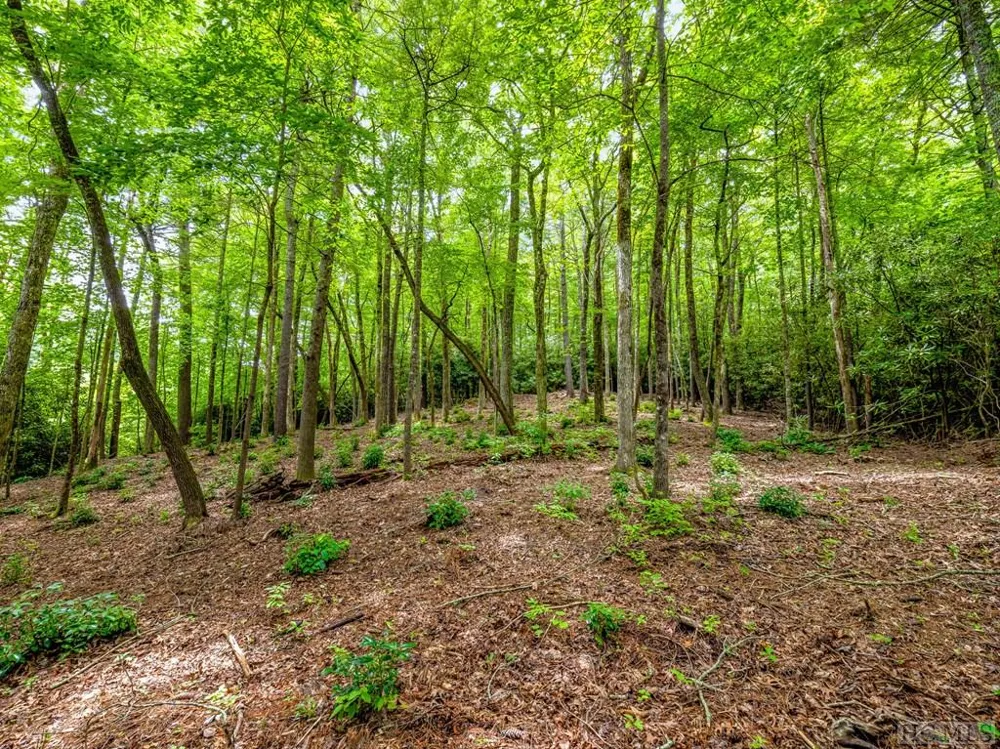 K 28 Chestnut Trace Lake Toxaway, NC 28747