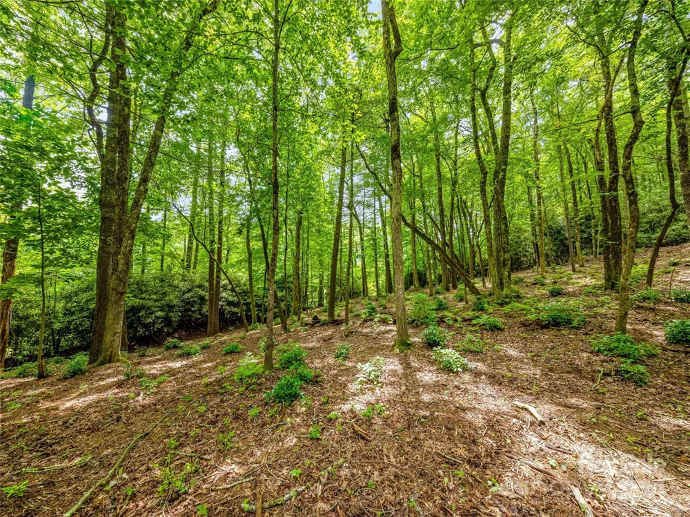 K 28 Chestnut Trace Lake Toxaway, NC 28747