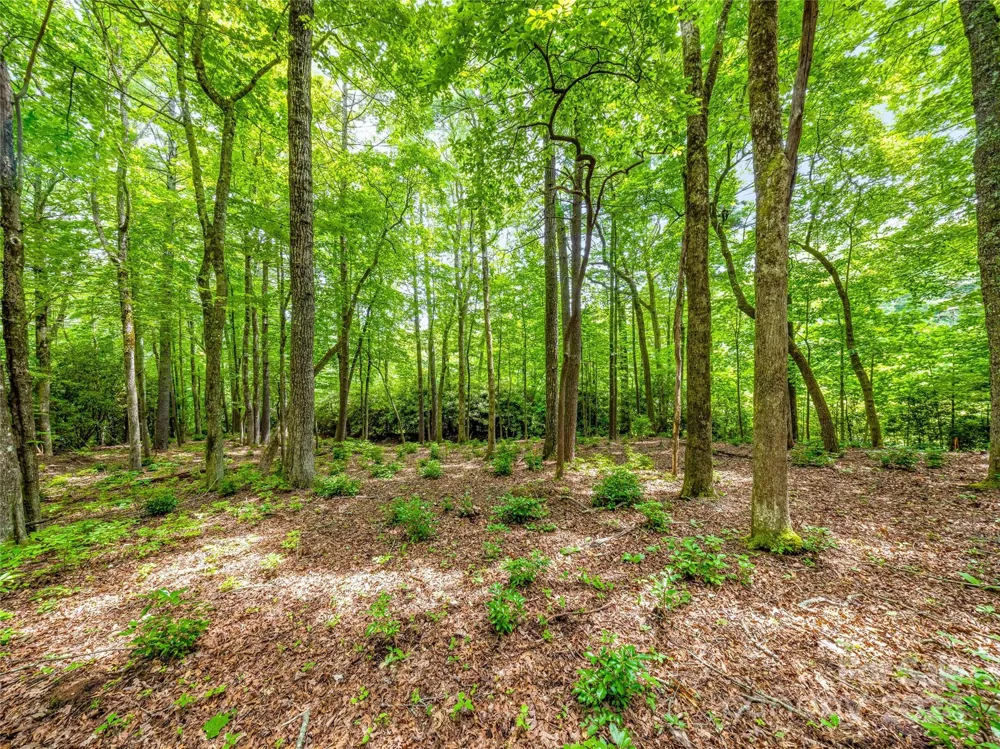 K 28 Chestnut Trace Lake Toxaway, NC 28747