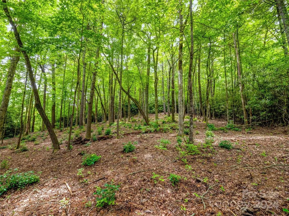 K 28 Chestnut Trace Lake Toxaway, NC 28747