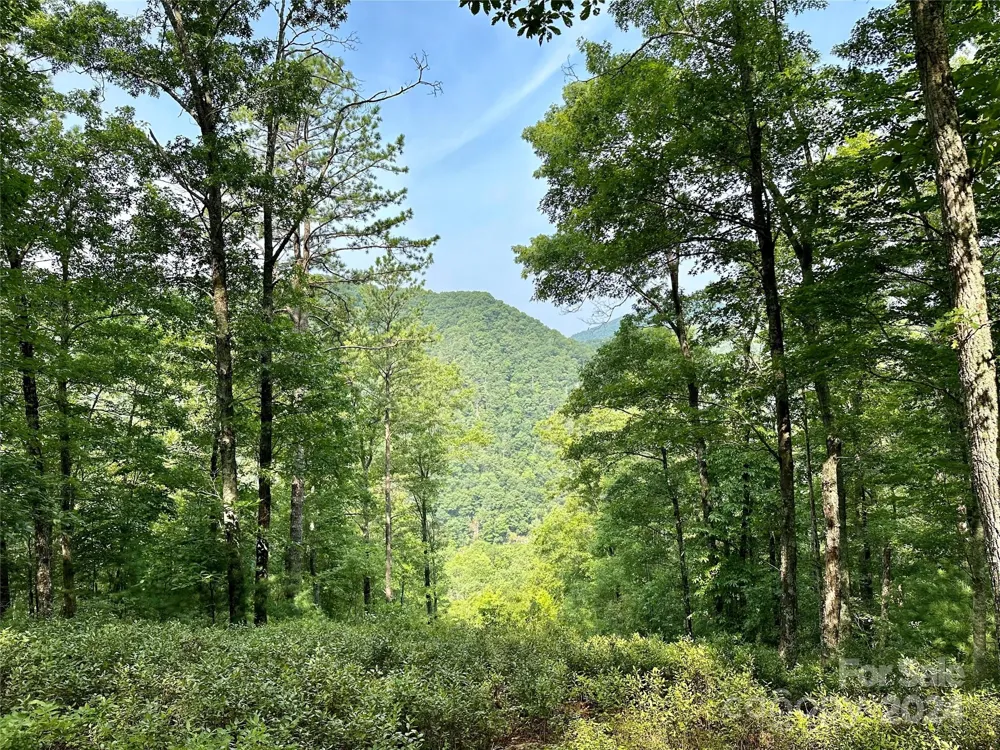 151 Wild Turkey Loop #29 Marshall, NC 28753