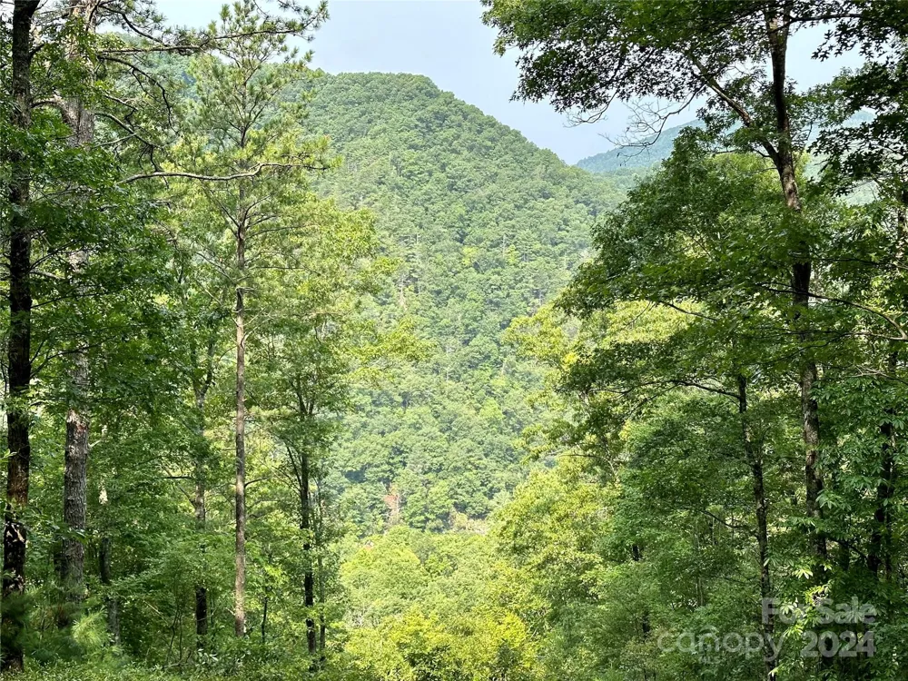 151 Wild Turkey Loop #29 Marshall, NC 28753