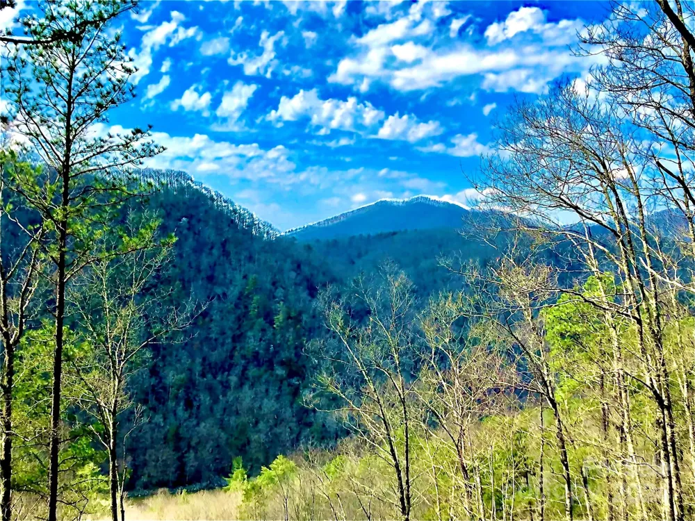 151 Wild Turkey Loop #29 Marshall, NC 28753