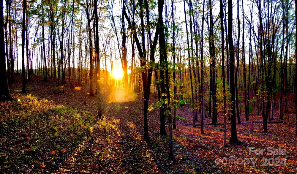 151 Wild Turkey Loop #29 Marshall, NC 28753
