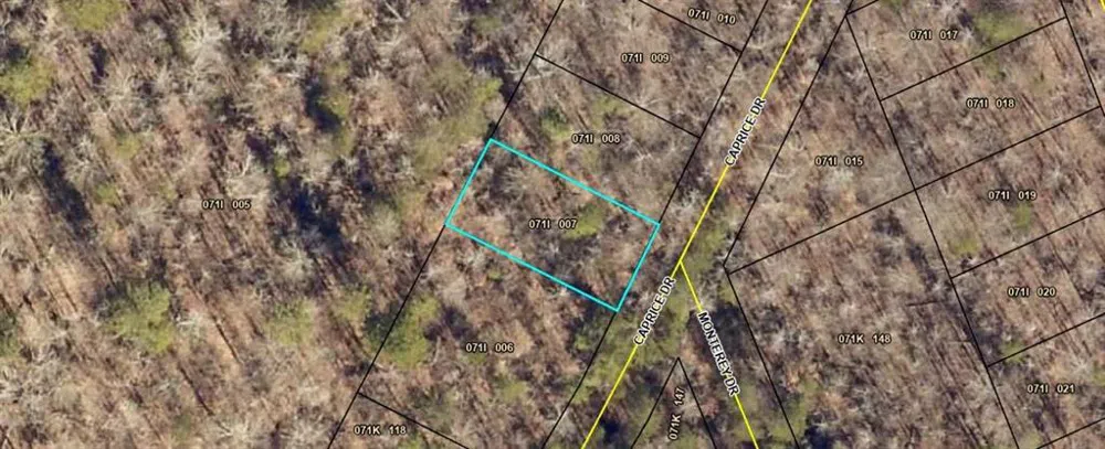 140 Caprice Drive Martin, GA 30557