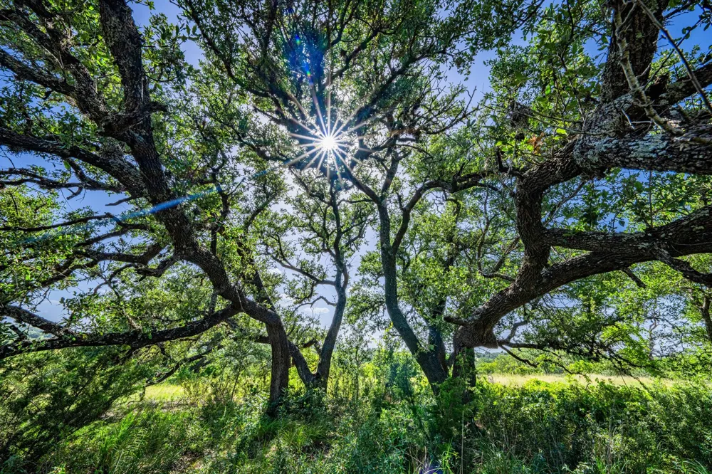 613 Cattle Creek Road Johnson City, TX 78636