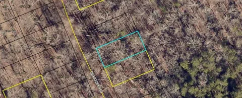 98 Brookwood Drive