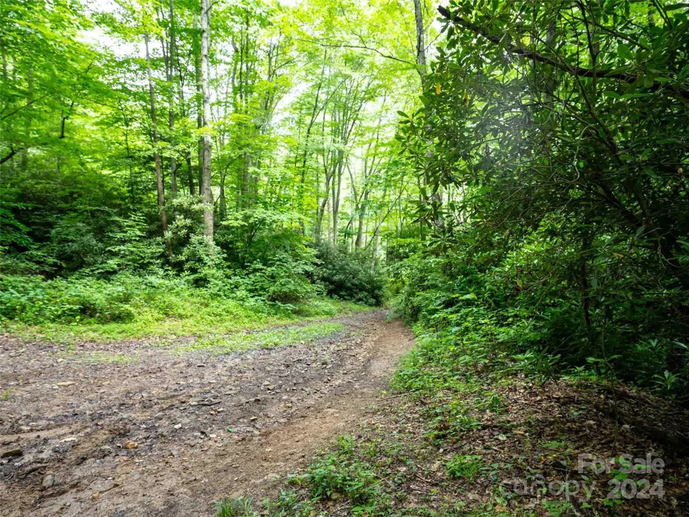 00 Waterwheel Cove Clyde, NC 28721