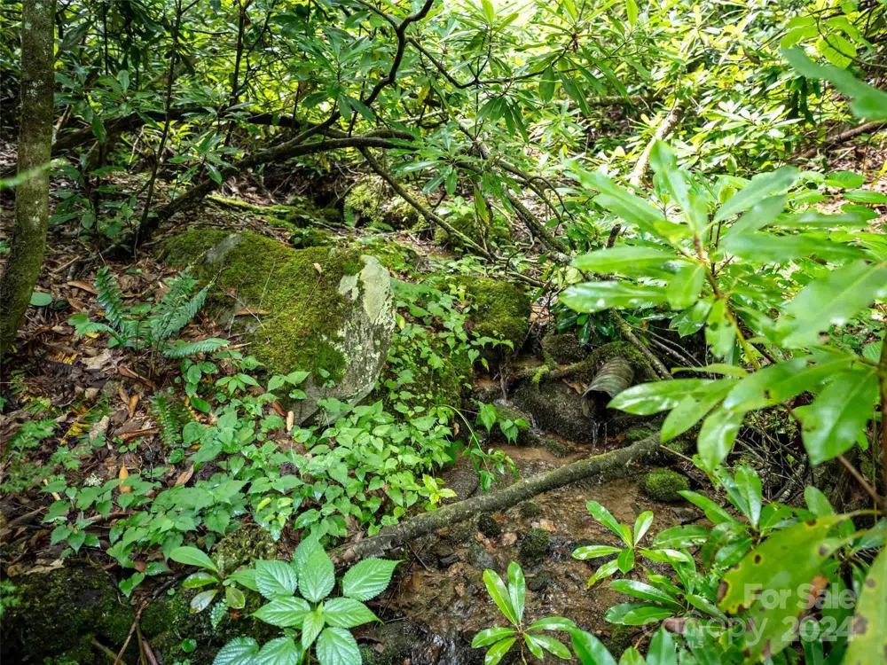 00 Waterwheel Cove Clyde, NC 28721