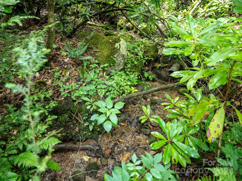 00 Waterwheel Cove Clyde, NC 28721