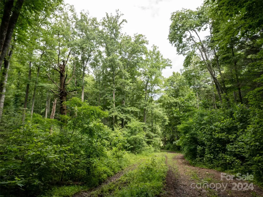 00 Waterwheel Cove Clyde, NC 28721