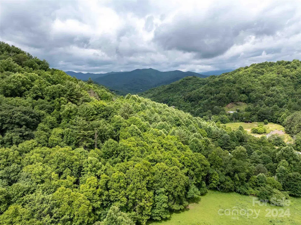 00 Waterwheel Cove Clyde, NC 28721