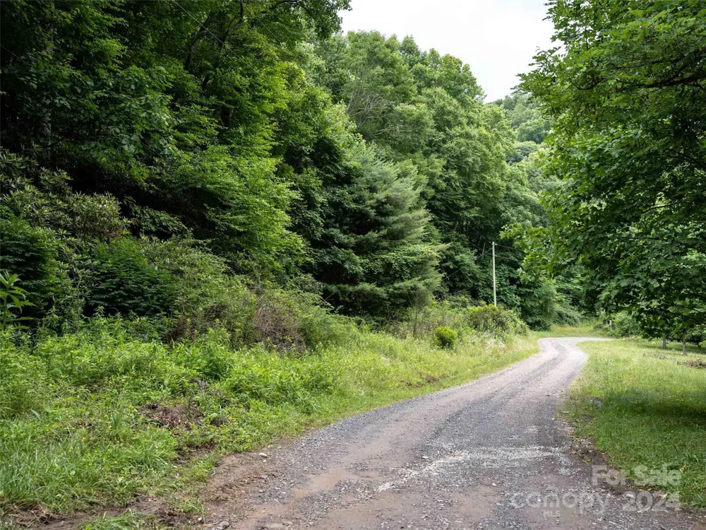 00 Waterwheel Cove Clyde, NC 28721