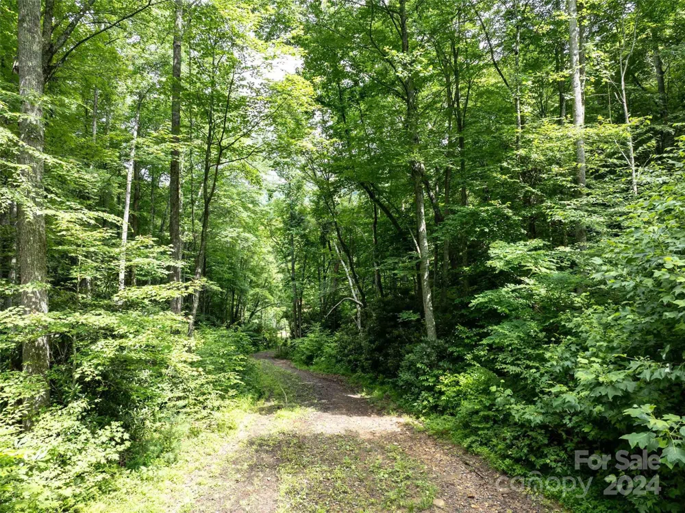 00 Waterwheel Cove Clyde, NC 28721