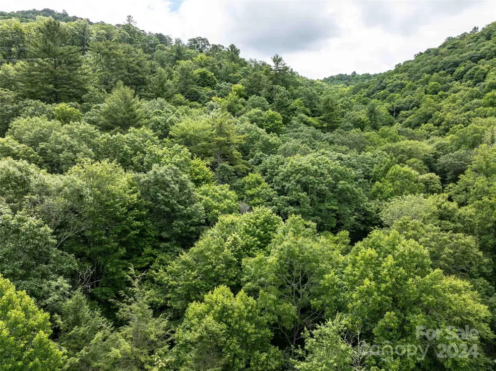 00 Waterwheel Cove Clyde, NC 28721