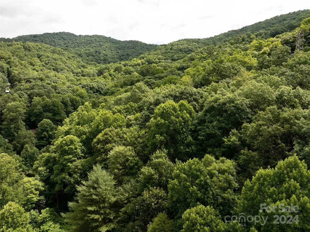 00 Waterwheel Cove Clyde, NC 28721