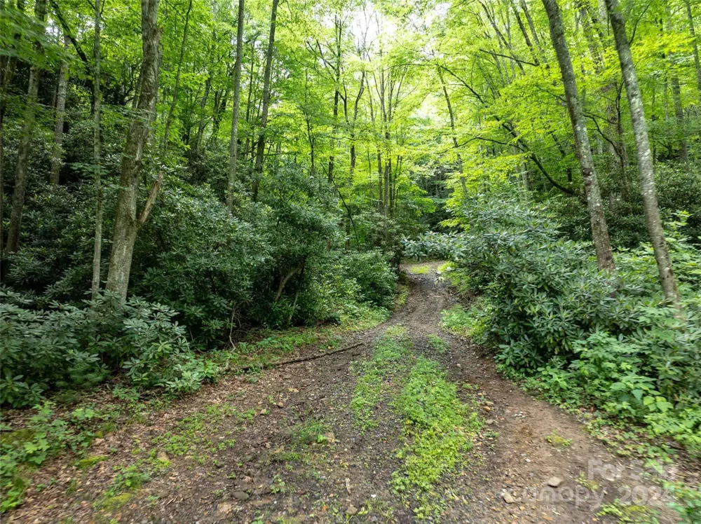 00 Waterwheel Cove Clyde, NC 28721