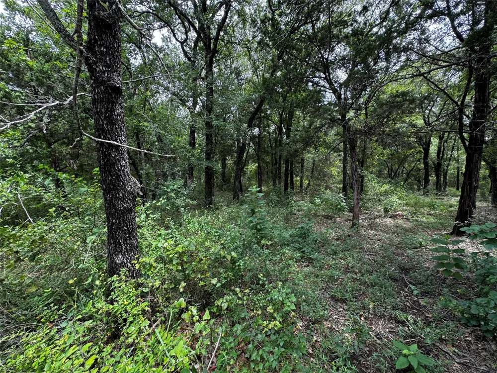 4044 High Point Drive Whitney, TX 76692