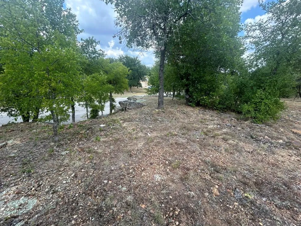 1406 Willow Wood Court Graham, TX 76450