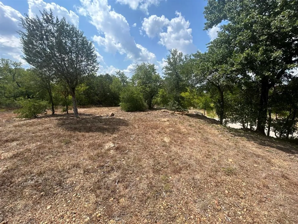 1406 Willow Wood Court Graham, TX 76450