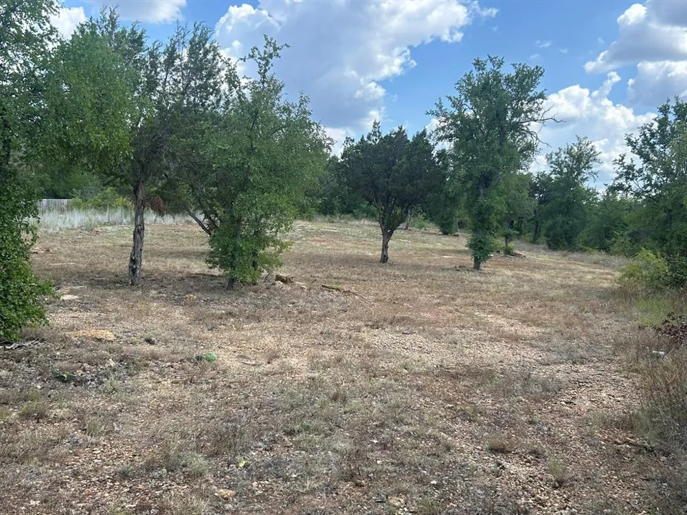 1406 Willow Wood Court Graham, TX 76450