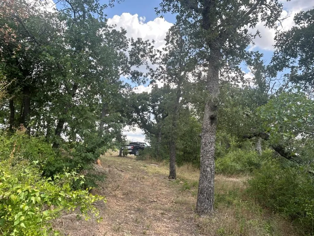 1406 Willow Wood Court Graham, TX 76450