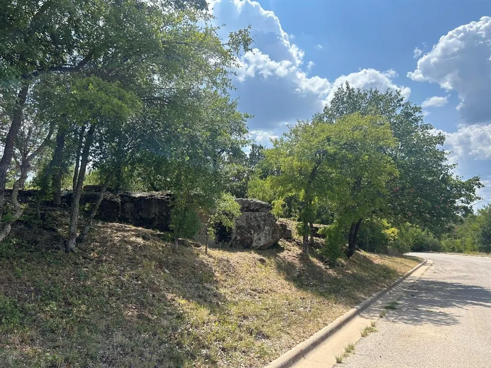 1406 Willow Wood Court Graham, TX 76450